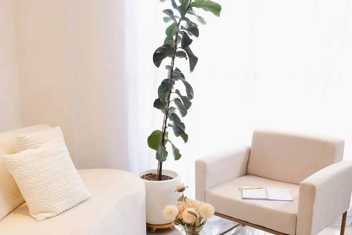 After: Lounge and sitting area